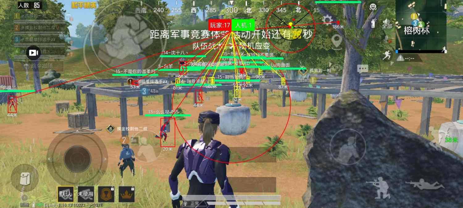 和平精英独行者辅助